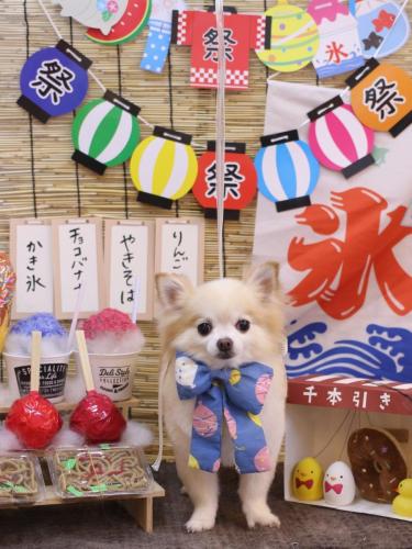 20240713小豆くん